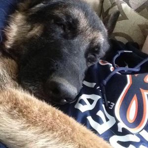 Meet your Posher, Emilie